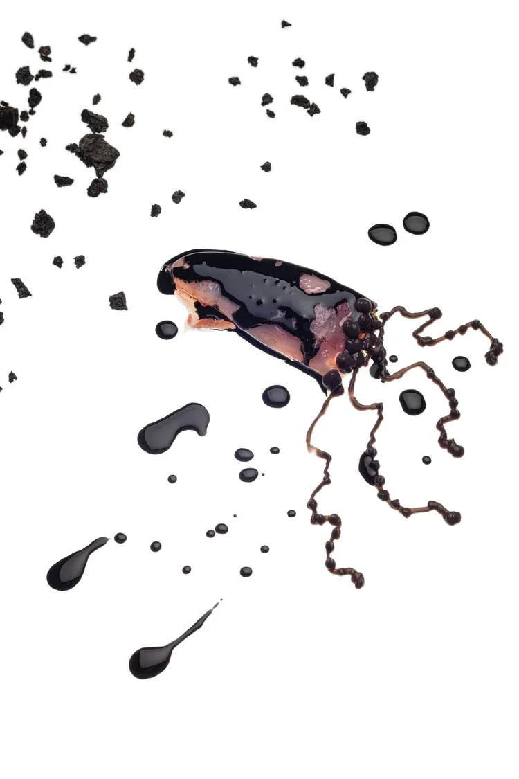 Miramar — photo 10
