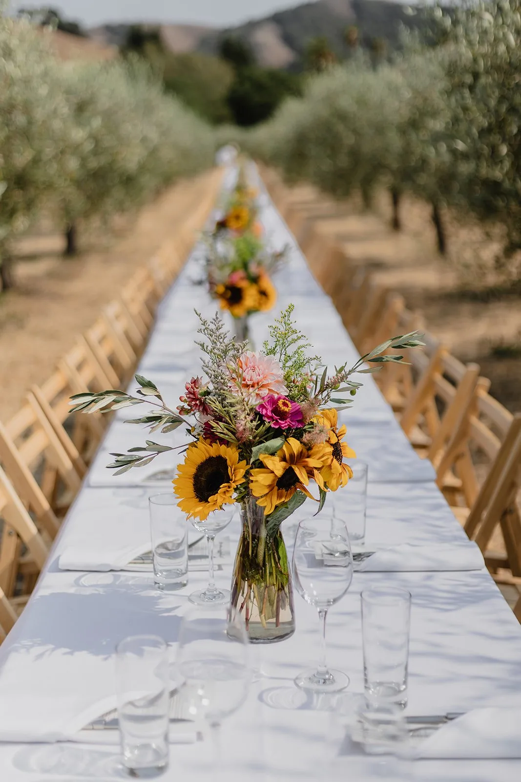 Table Culture Provisions — atmosphere