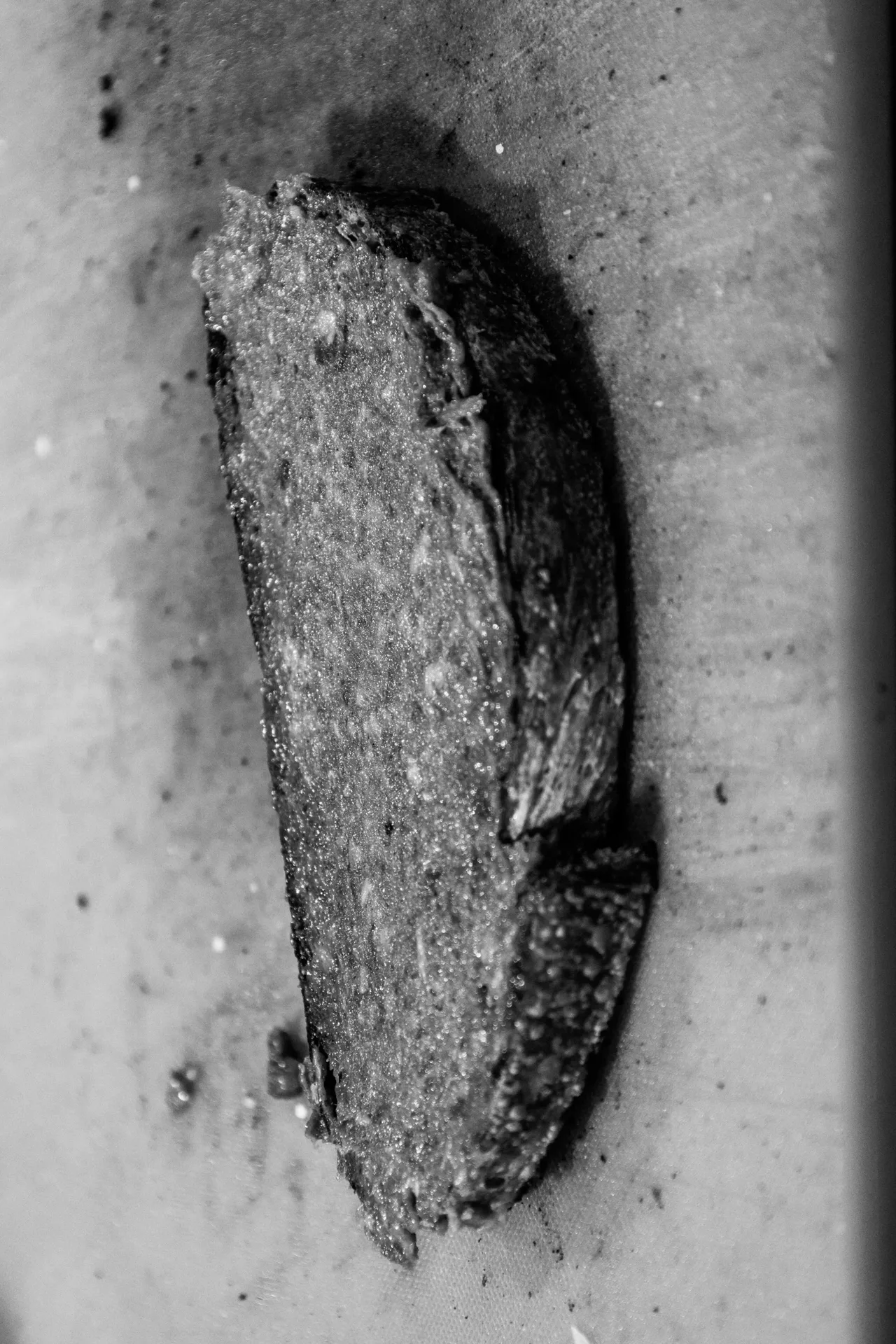 Gaba — photo 17