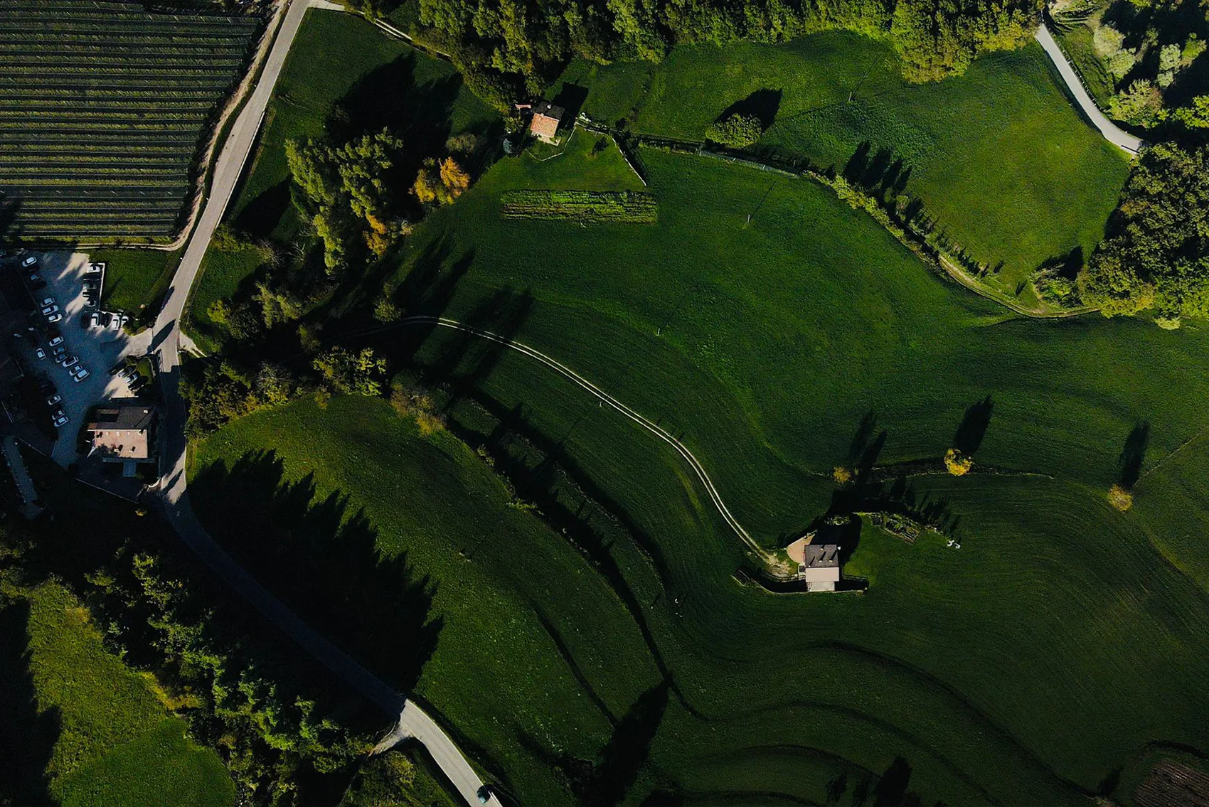 Maso Palù — photo 14