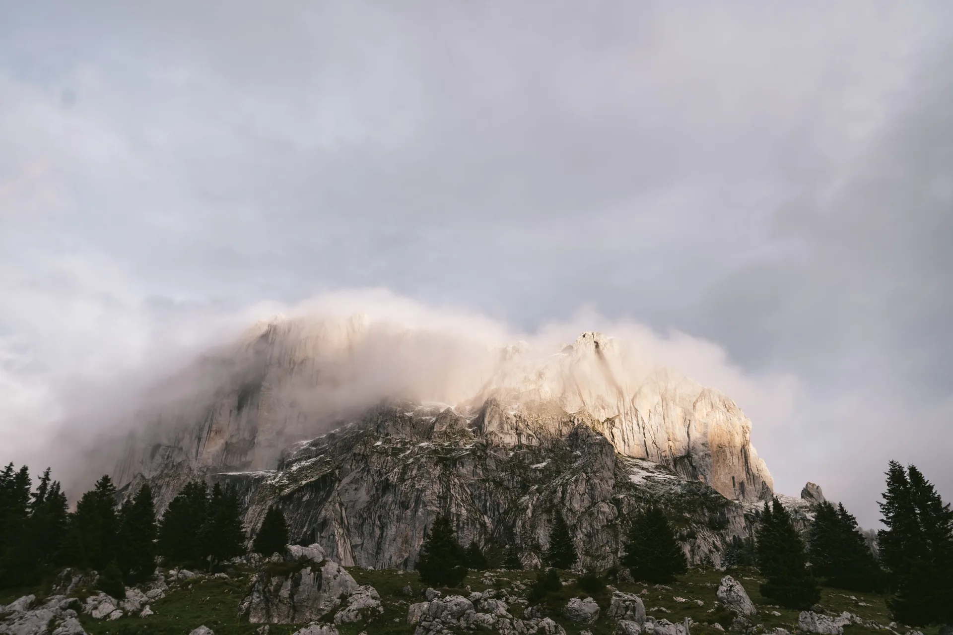 La Pinte des Mossettes — photo 29