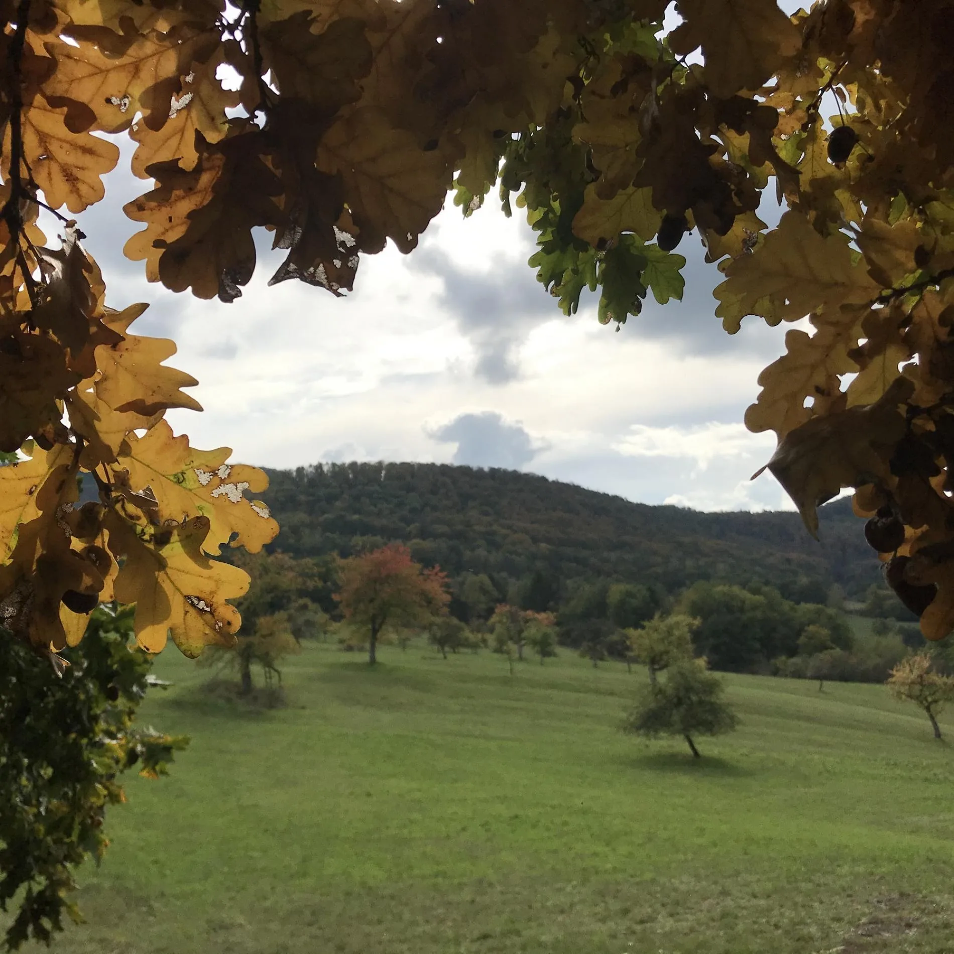Au Cheval Blanc — photo 31