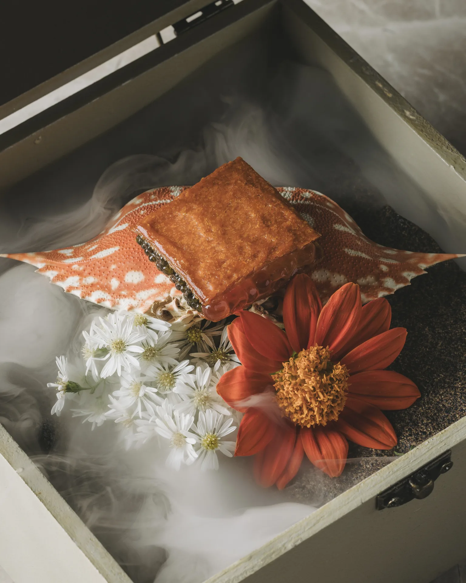 Taupe — photo 14