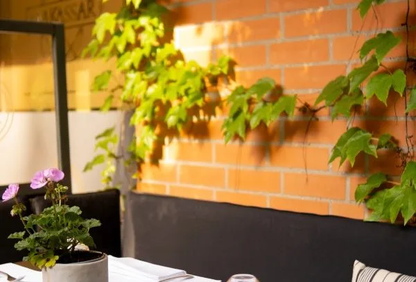 Makassar Restaurant — photo 19