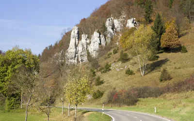 Gasthof Herrmann — photo 32