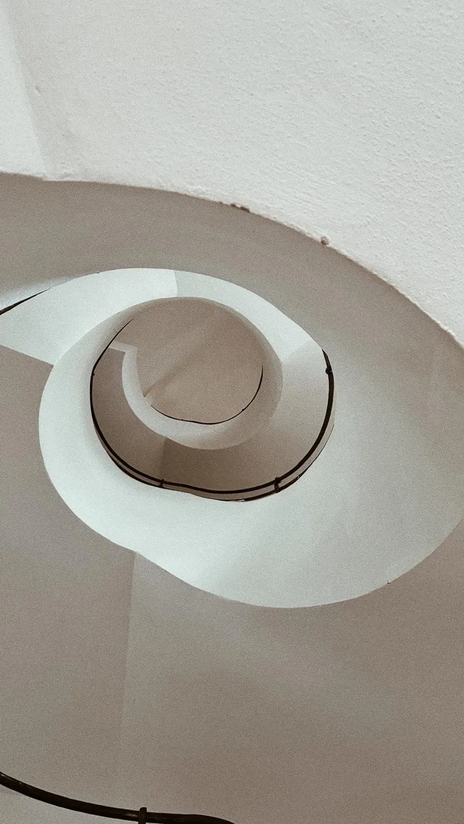 stieg'nhaus — photo 5