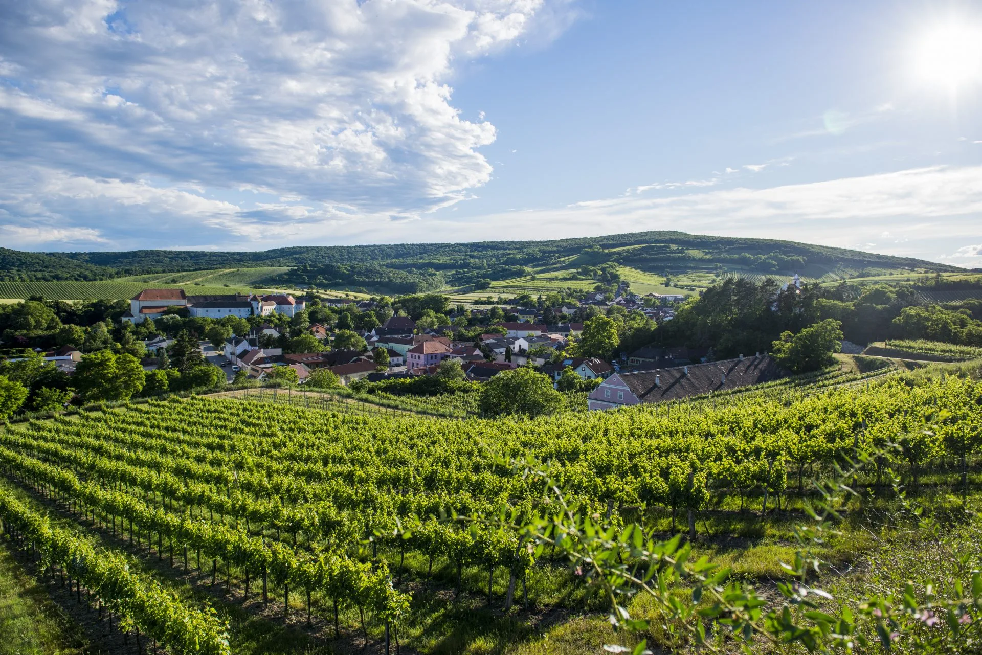 Weindomizil Hagn — photo 99