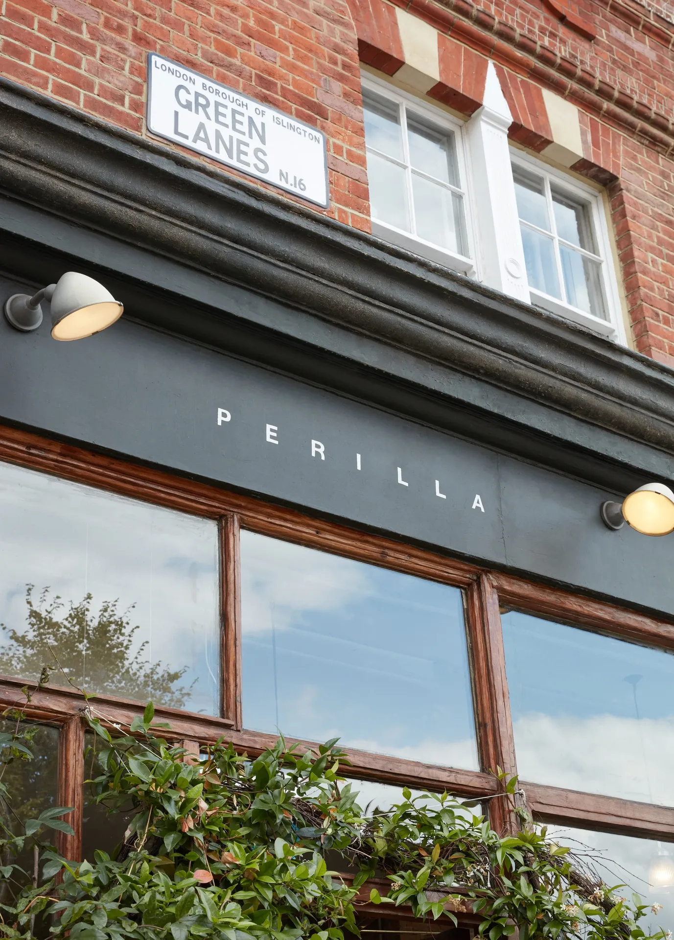 Perilla — photo 21