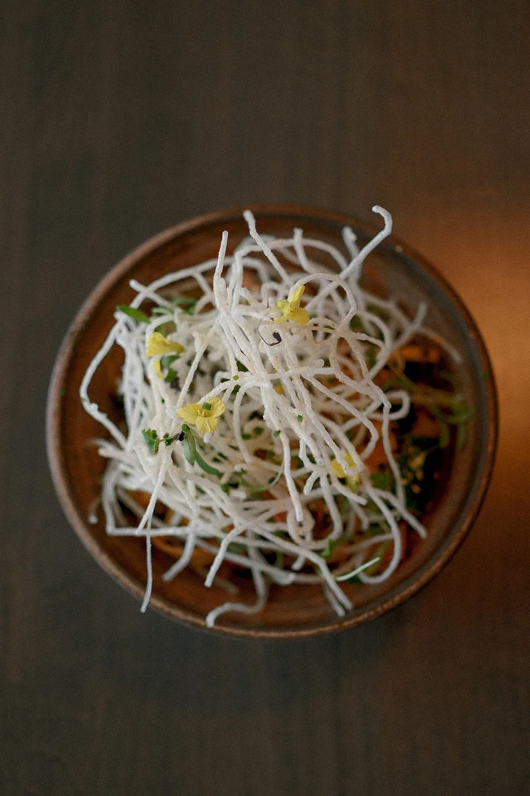 Coro — photo 19