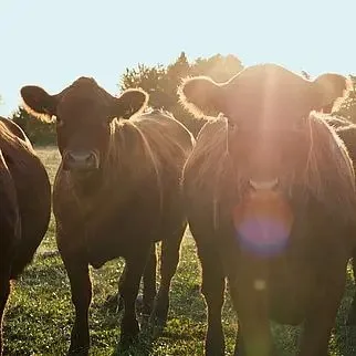 HIO - Der Acker kocht., Neumarkt in der Oberpfalz