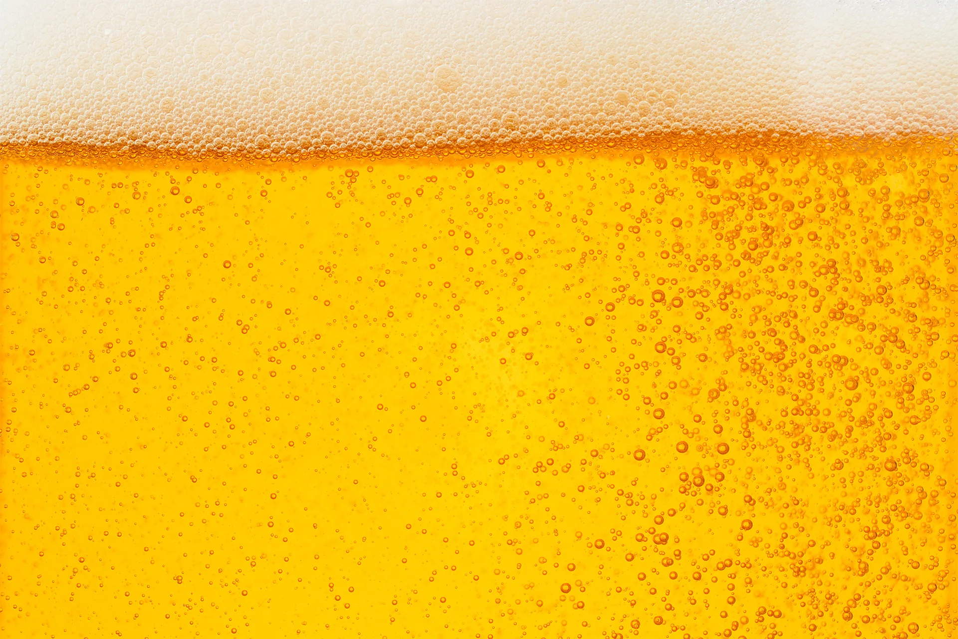 SPILKA beer & restaurant — photo 35