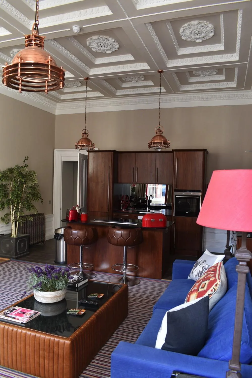 Kyloe — photo 23
