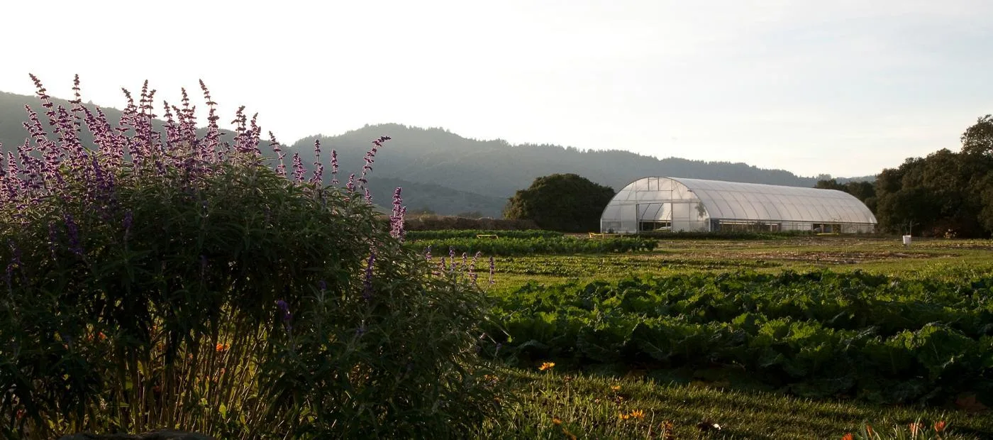 The French Laundry — photo 13