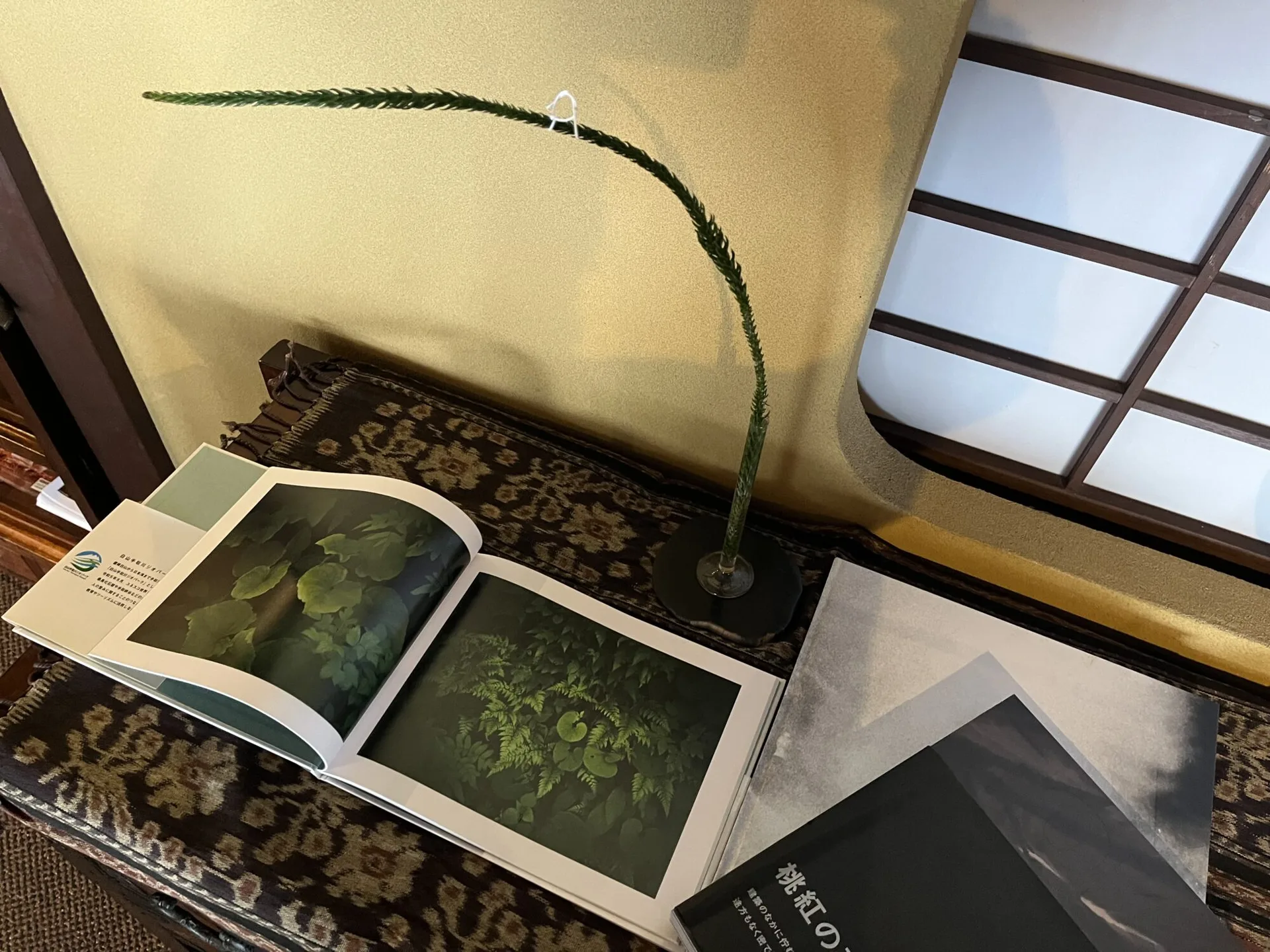 WATAYA — photo 110