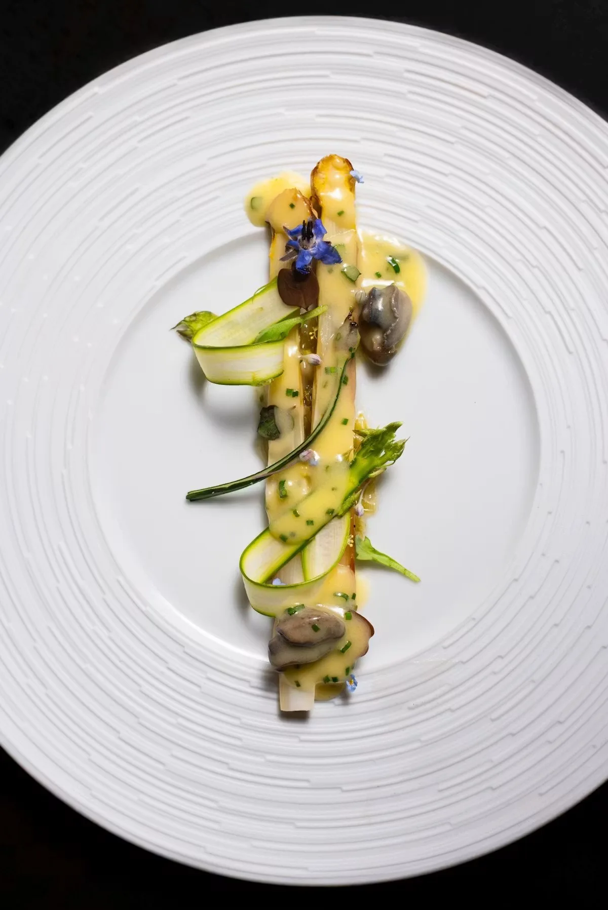 Nightbird — photo 15