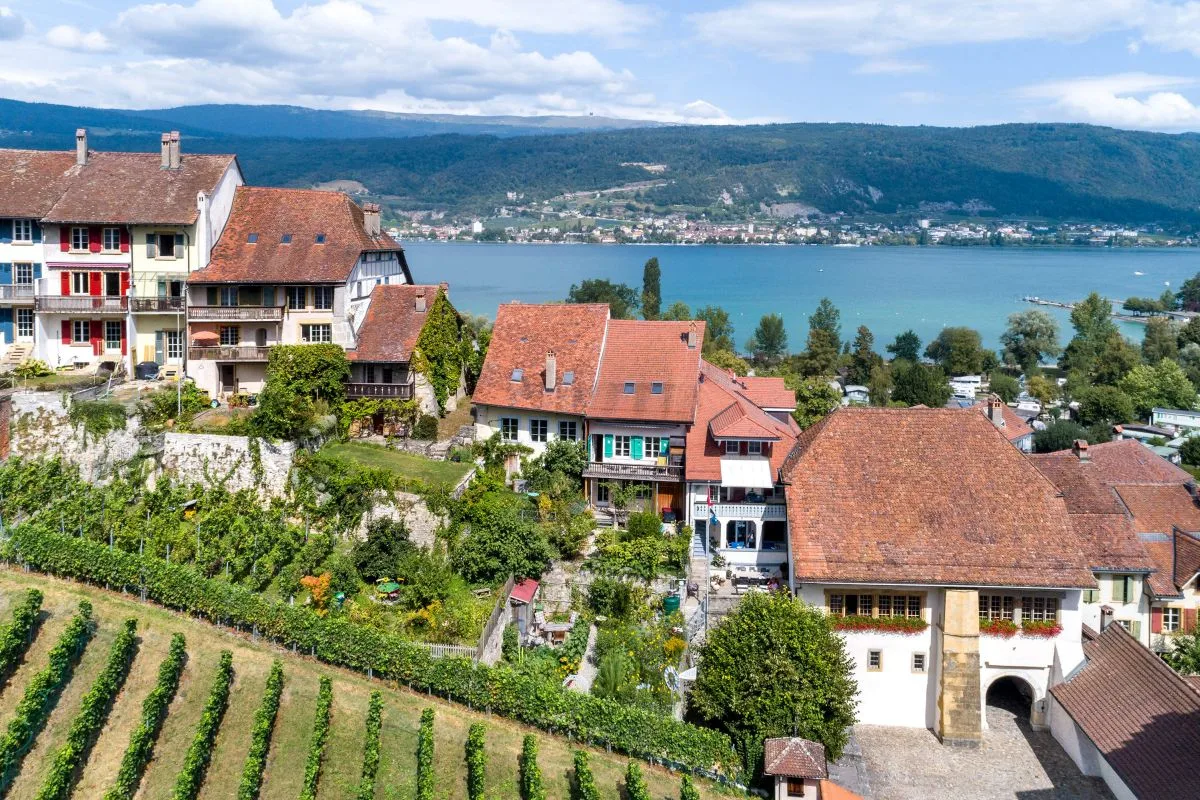 3 Fische — photo 42
