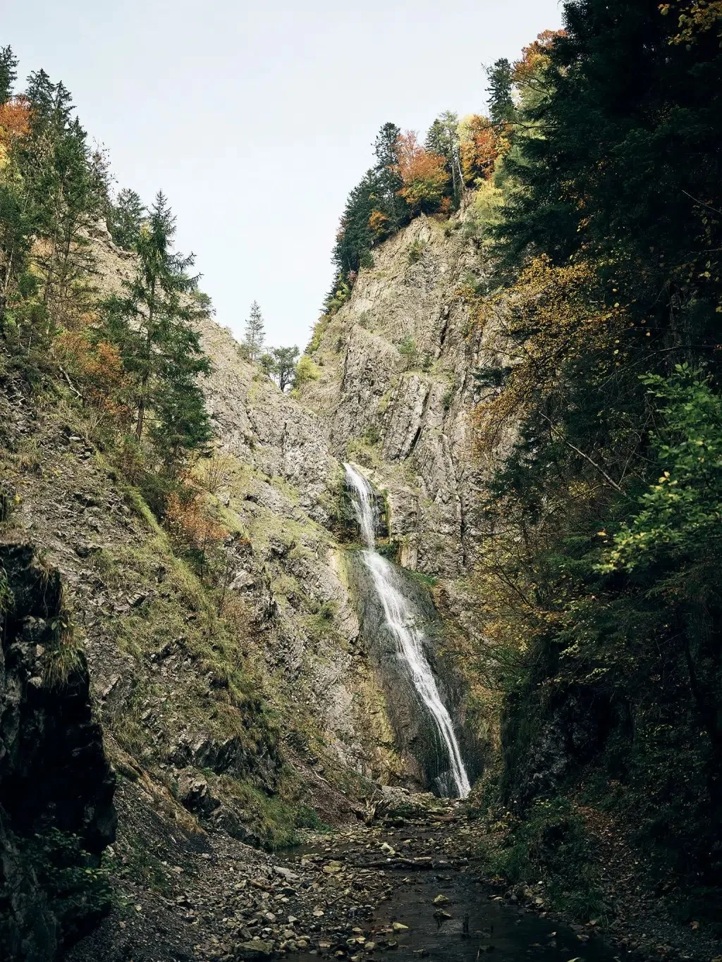 Krenn — photo 17