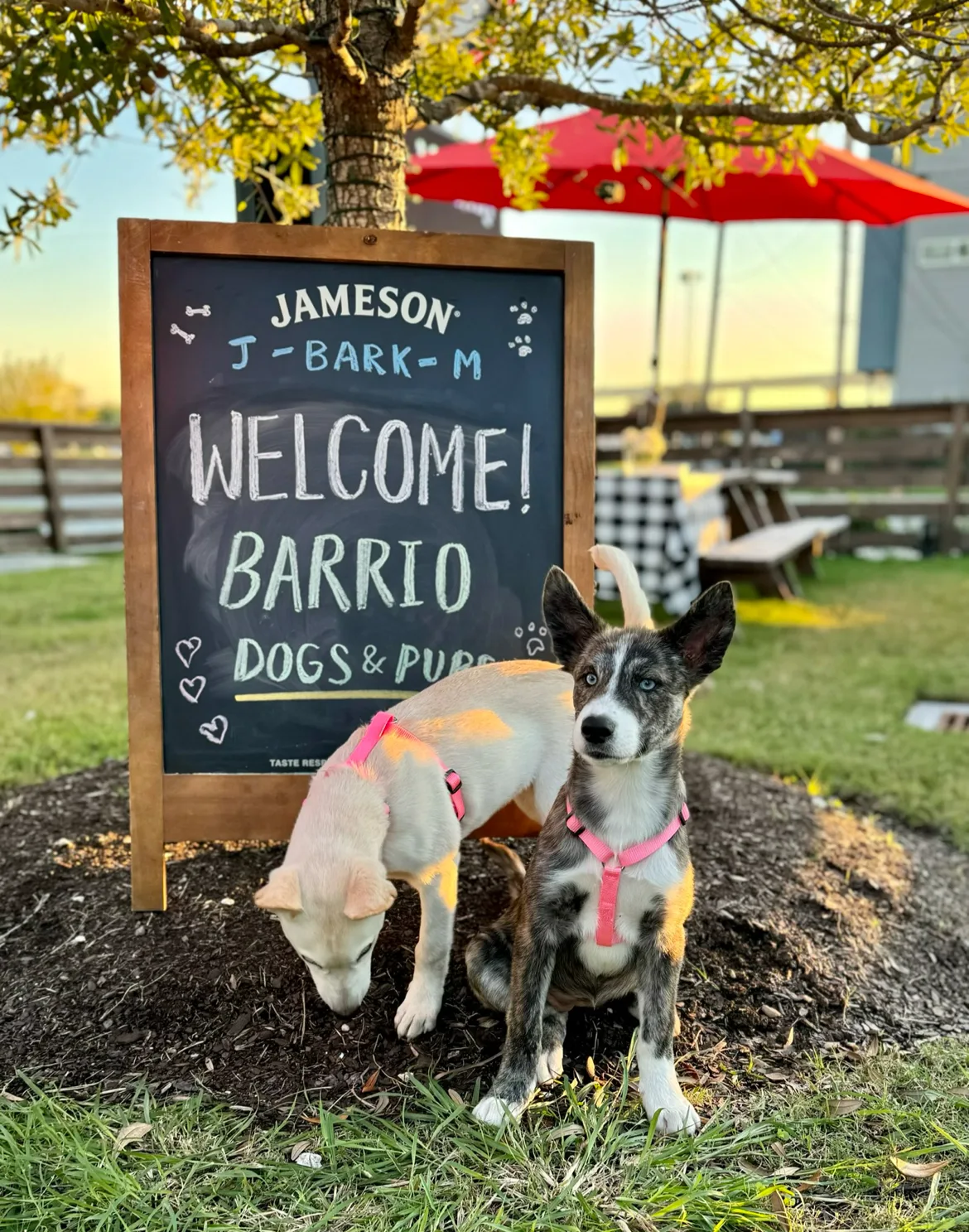 J-Bar-M Barbecue — photo 48