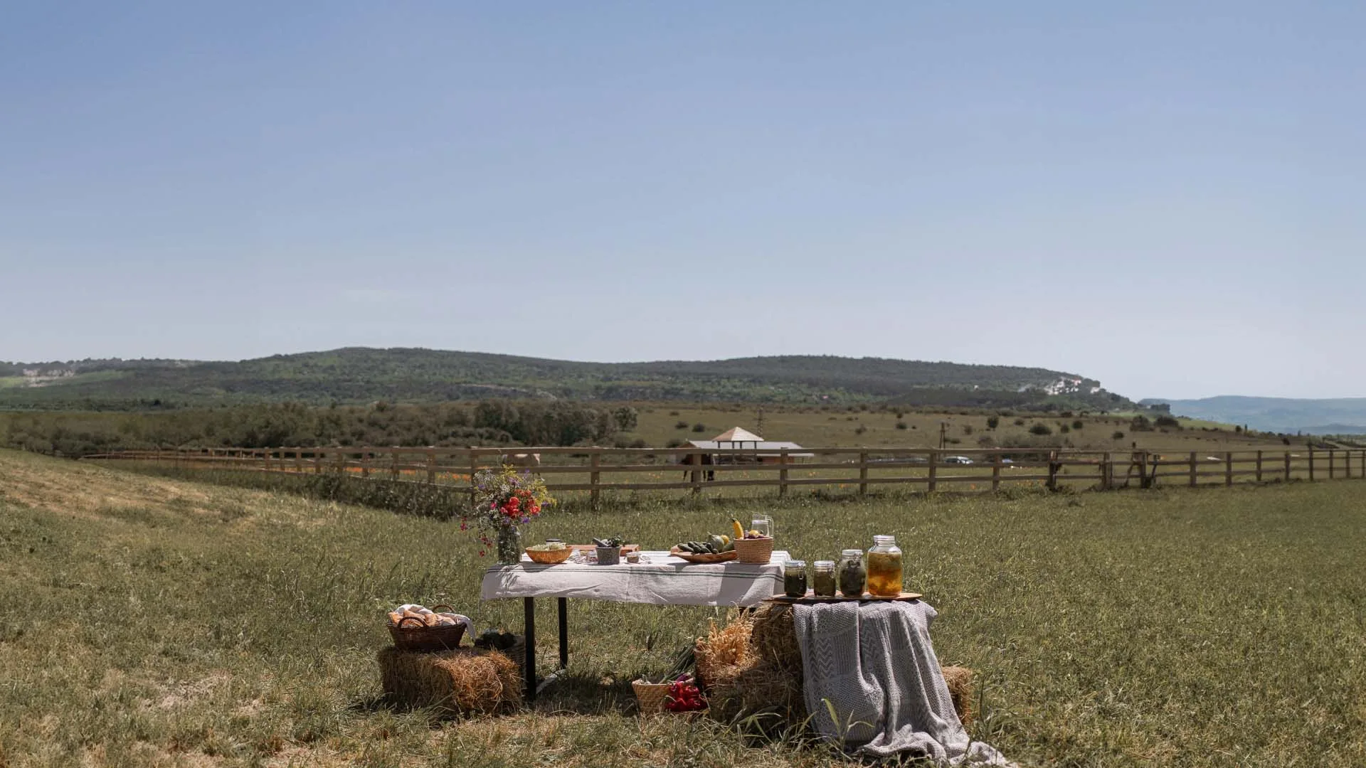 TATI Farm to Table — photo 14