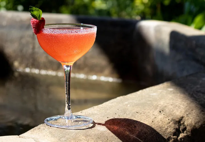Signature — drink