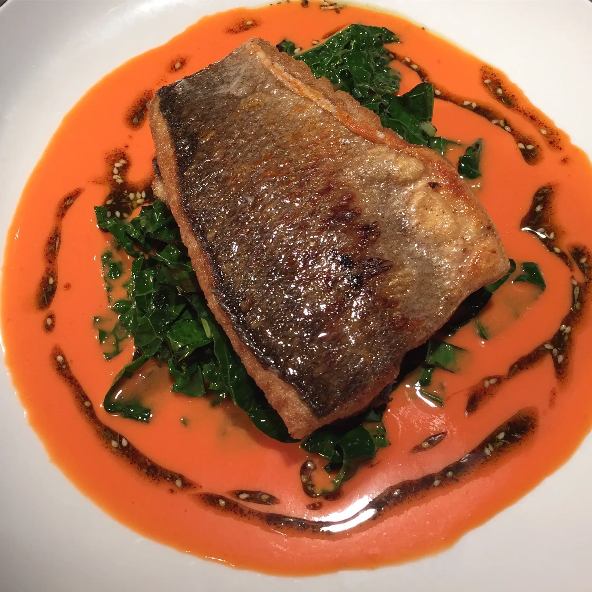 Select Oyster Bar — food