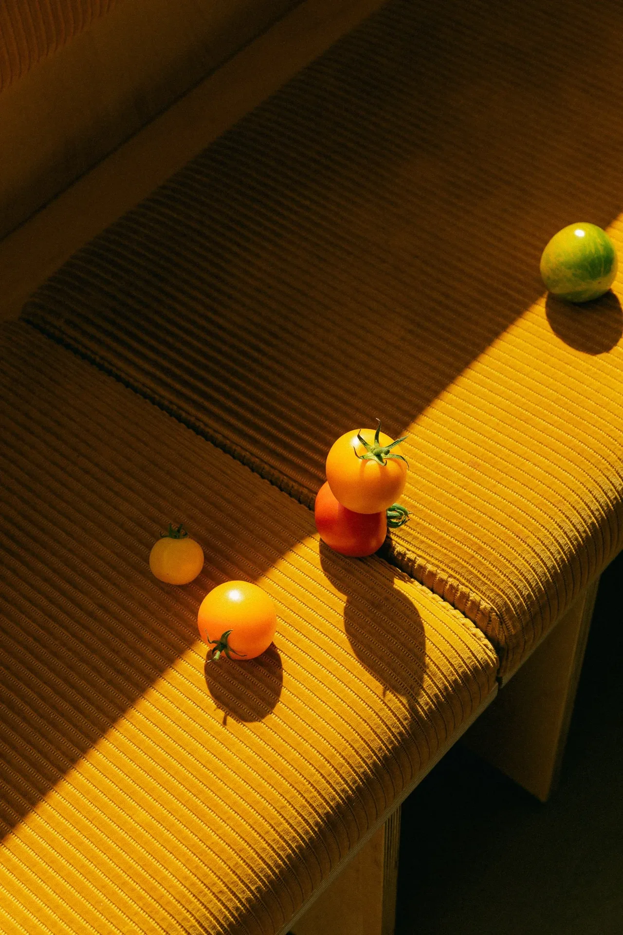 Remi — photo 13