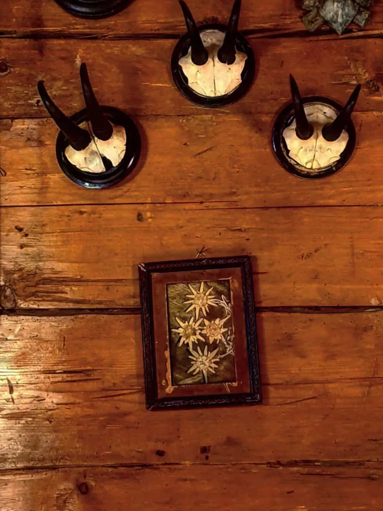 Obere Mühle — photo 25