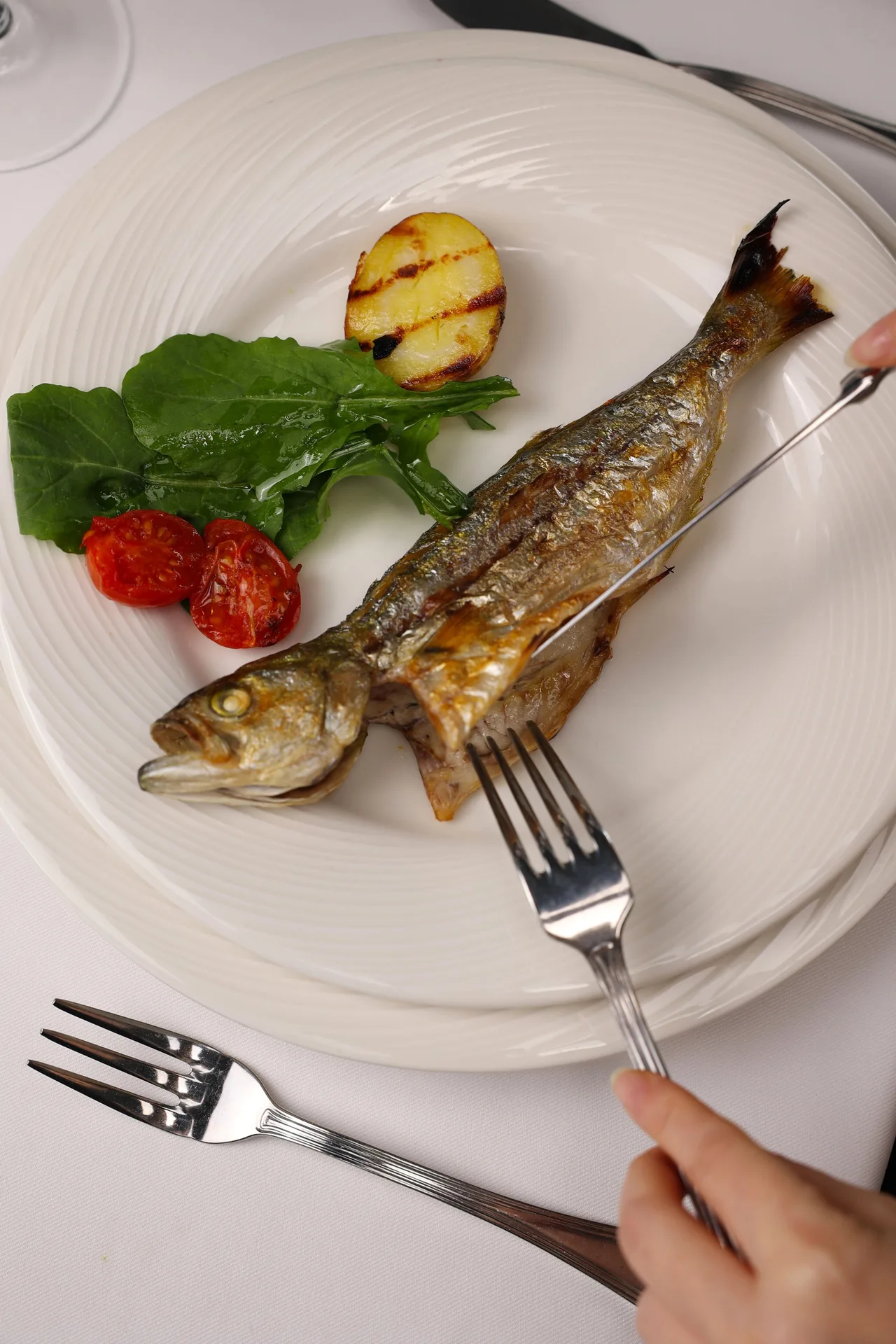 Calipso Fish — photo 15