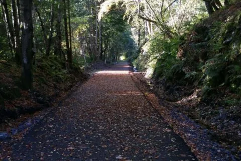 Seasons View — photo 36