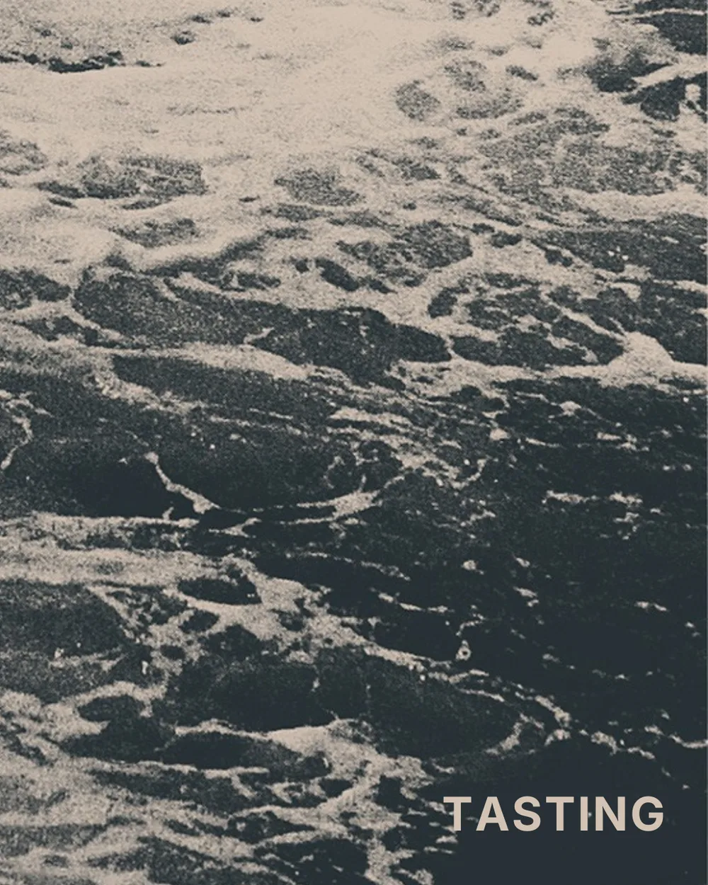 L'Ostrica — photo 7