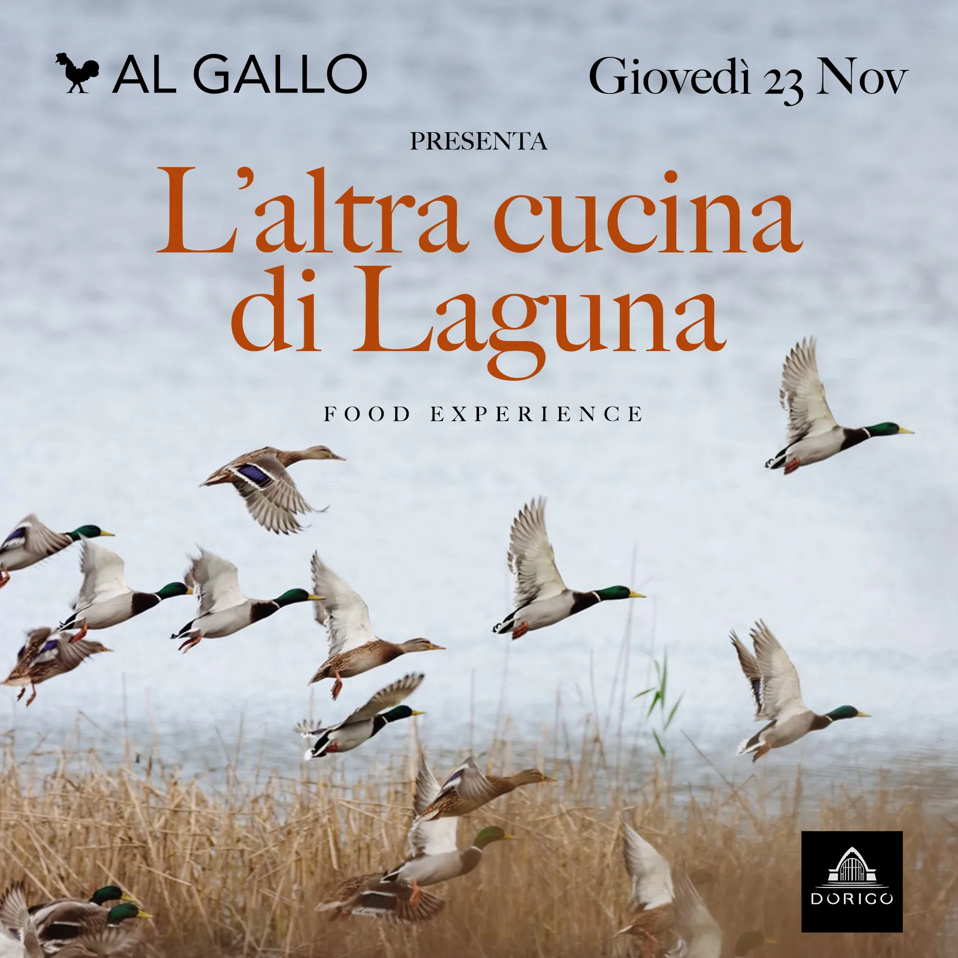 Al Gallo — photo 22