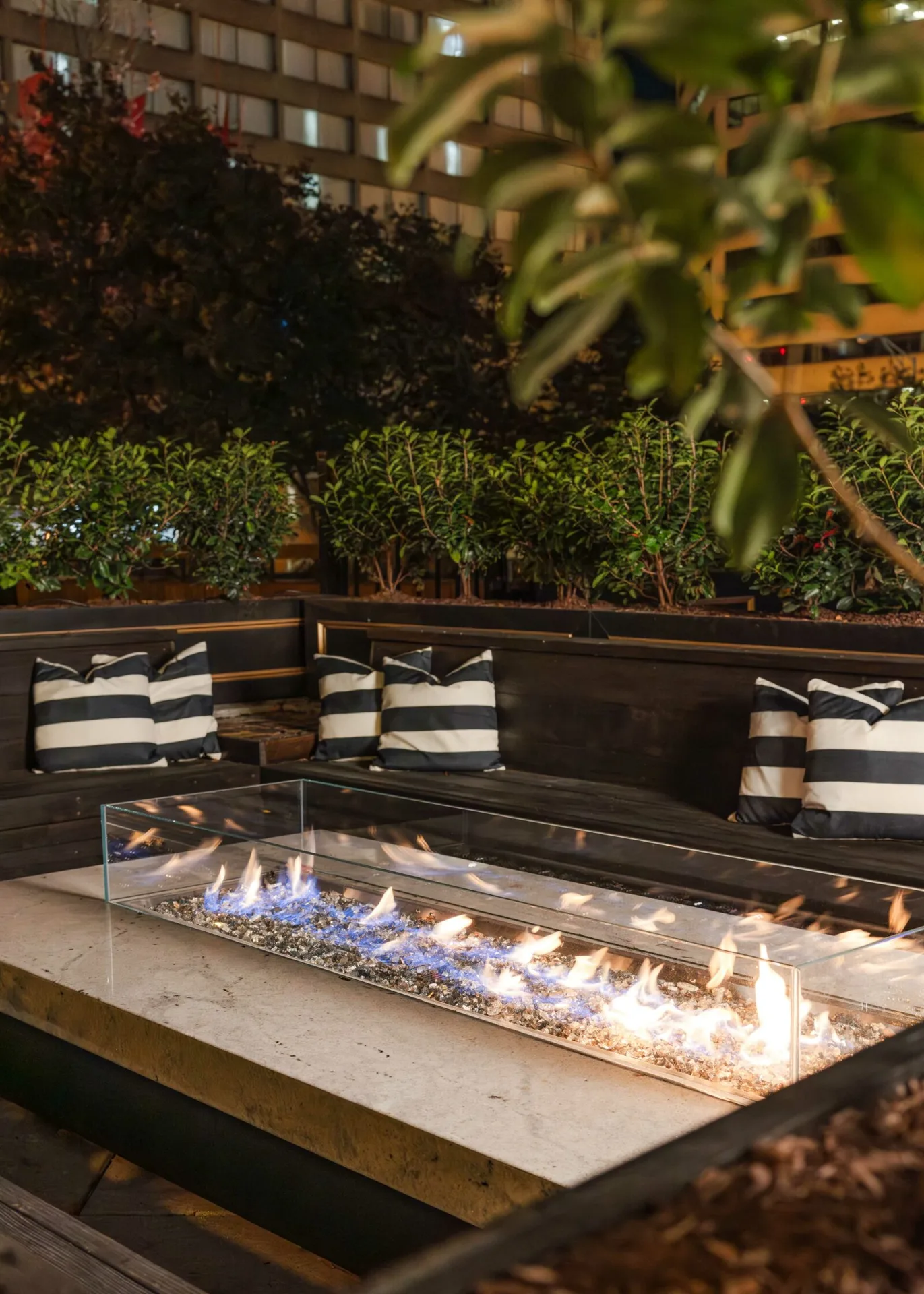 Jeff Ruby's Steakhouse — photo 20