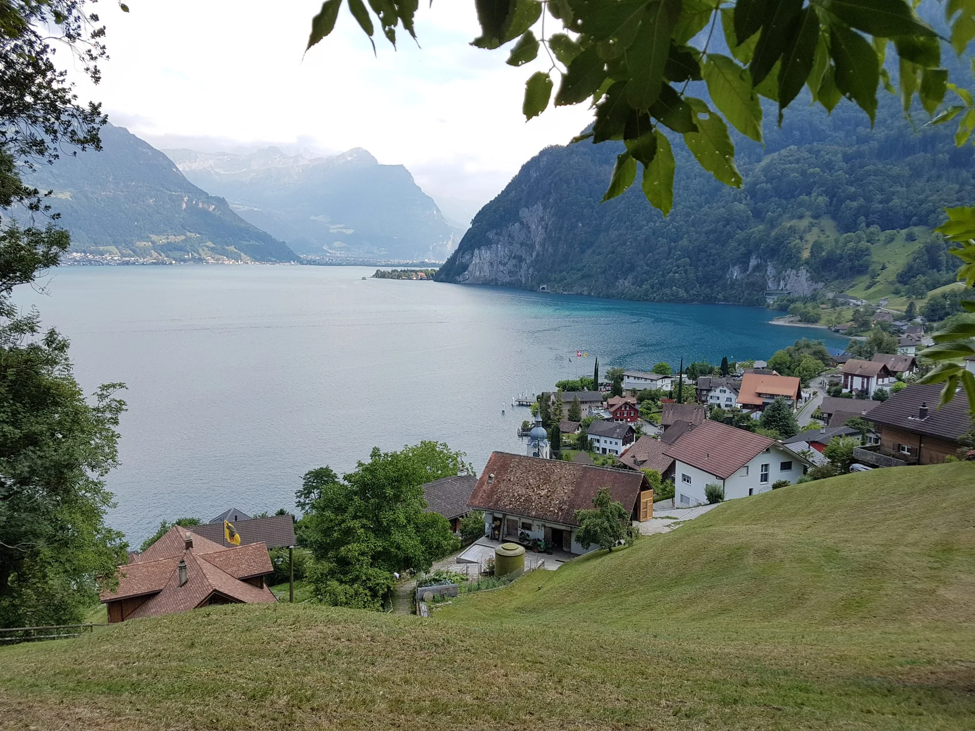 Fischli am See — photo 22
