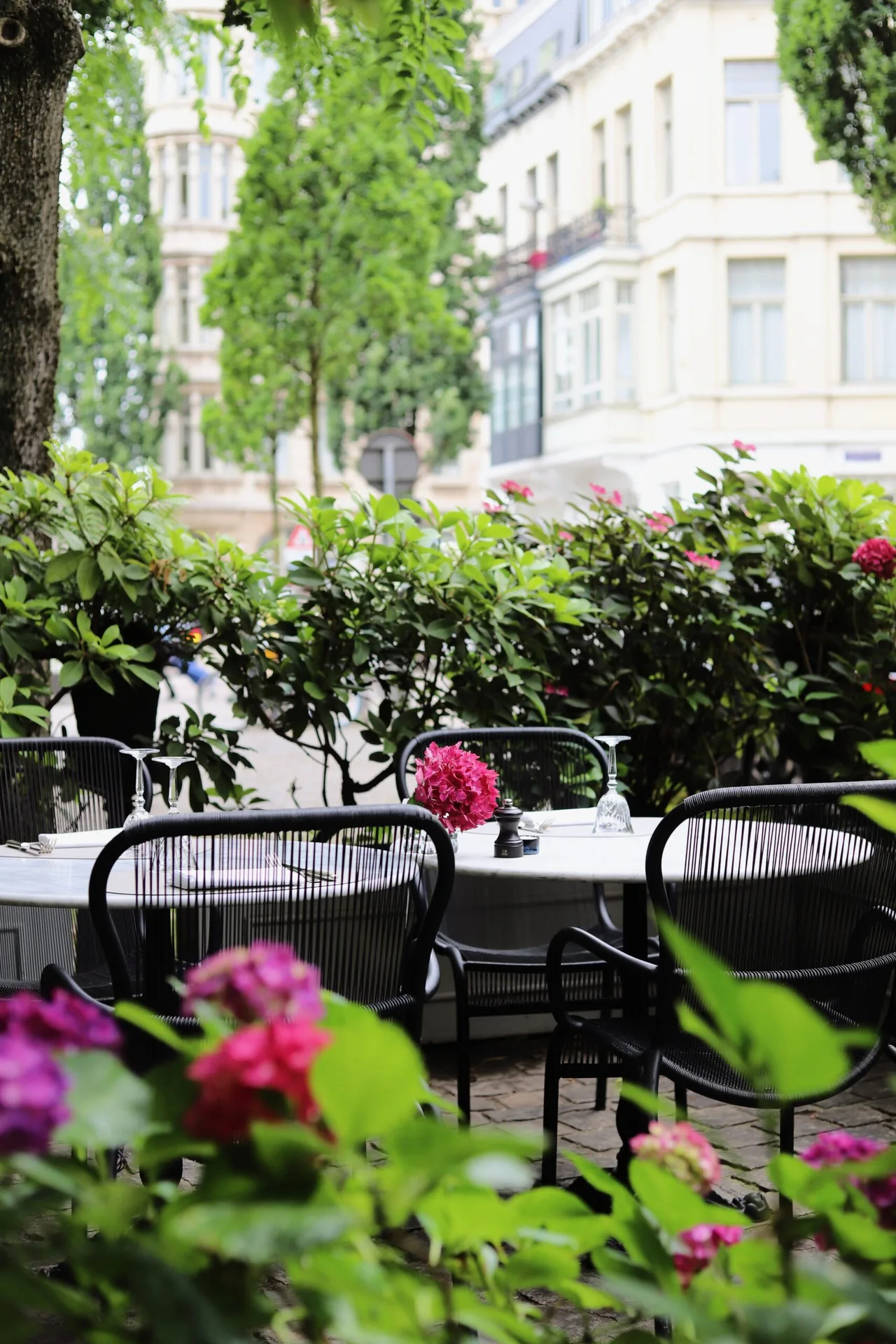 Brasserie du Dôme — photo 28