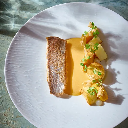Biestro H-eat — photo 19