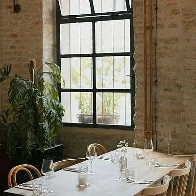 Truffle pig — photo 6