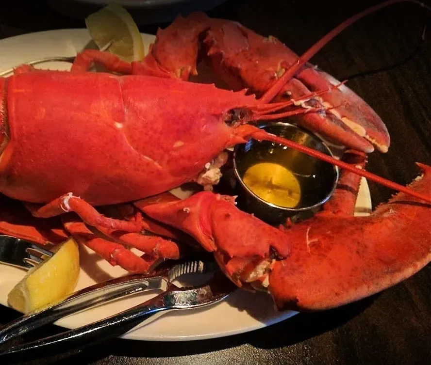 Court Street Restaurant & Bar — photo 14