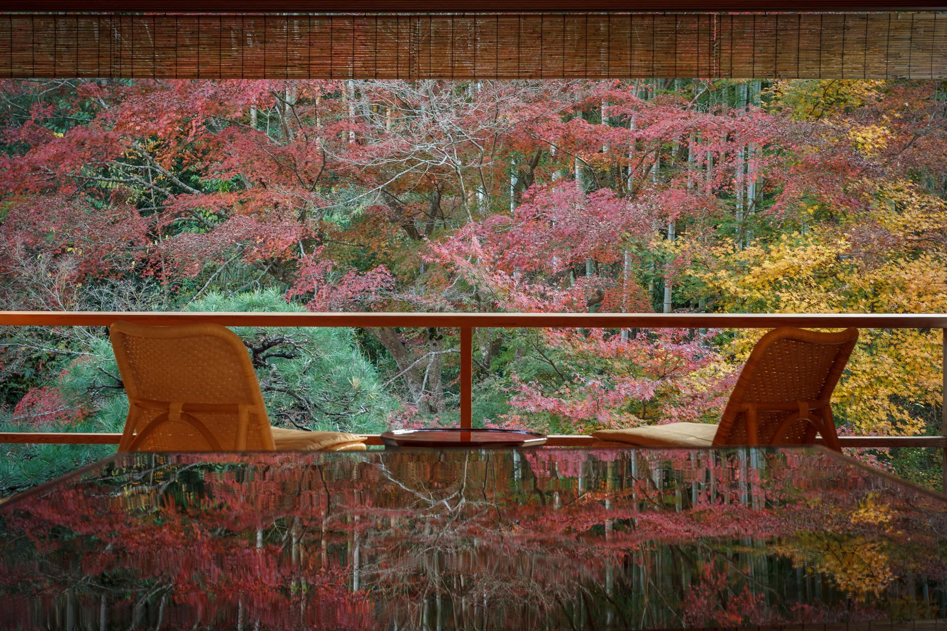 Yotsuya Minemura — photo 76