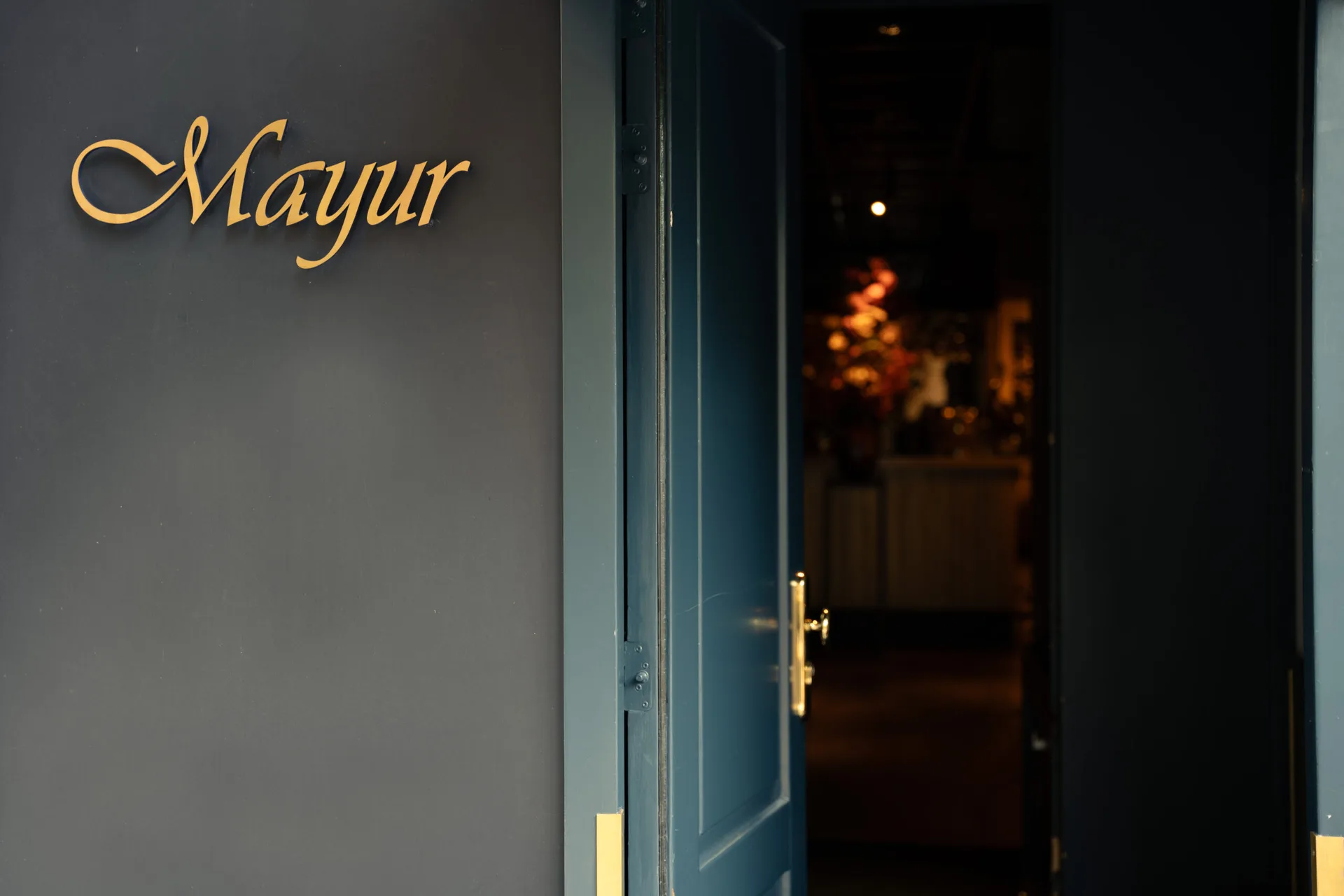 Mayur — photo 27