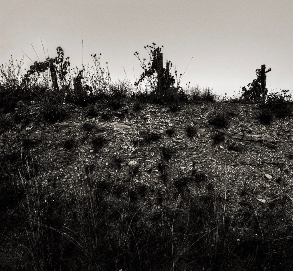 Konstantin Filippou — atmosphere