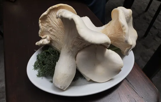 Nangalarruni — food