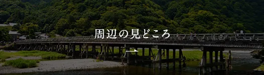 KYOTO KITCHO Arashiyama — food