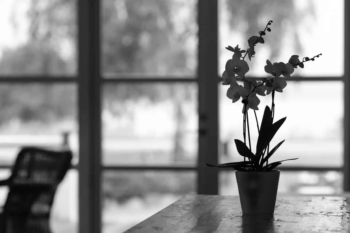 Gastronomisk Institut — photo 4