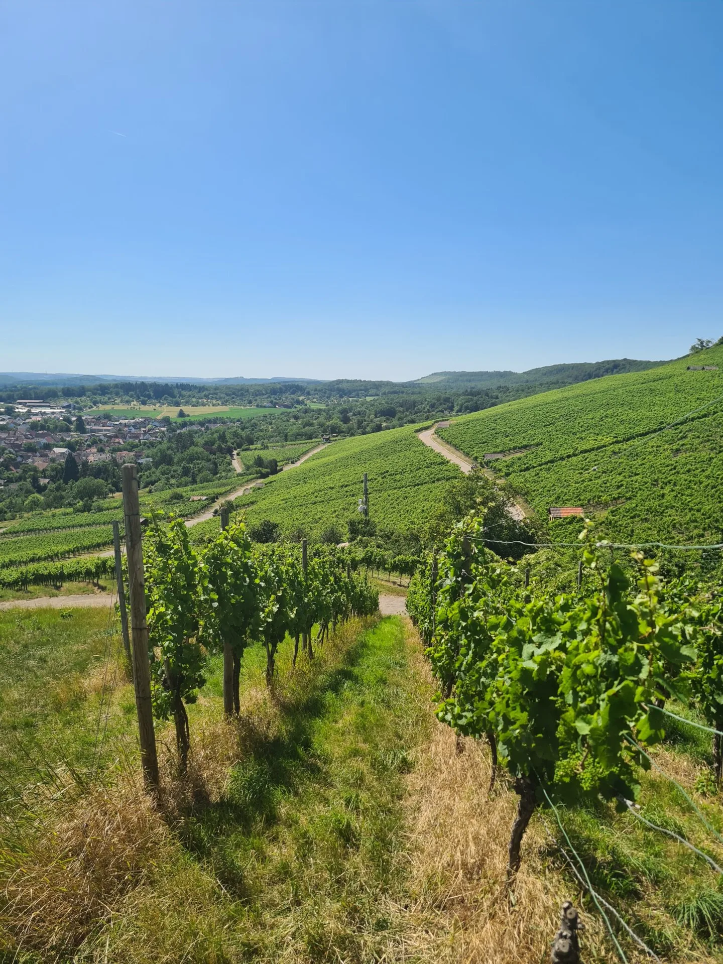 Landgasthof Mayer’s Waldhorn — photo 65