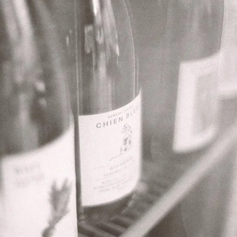 Pelusa — photo 20