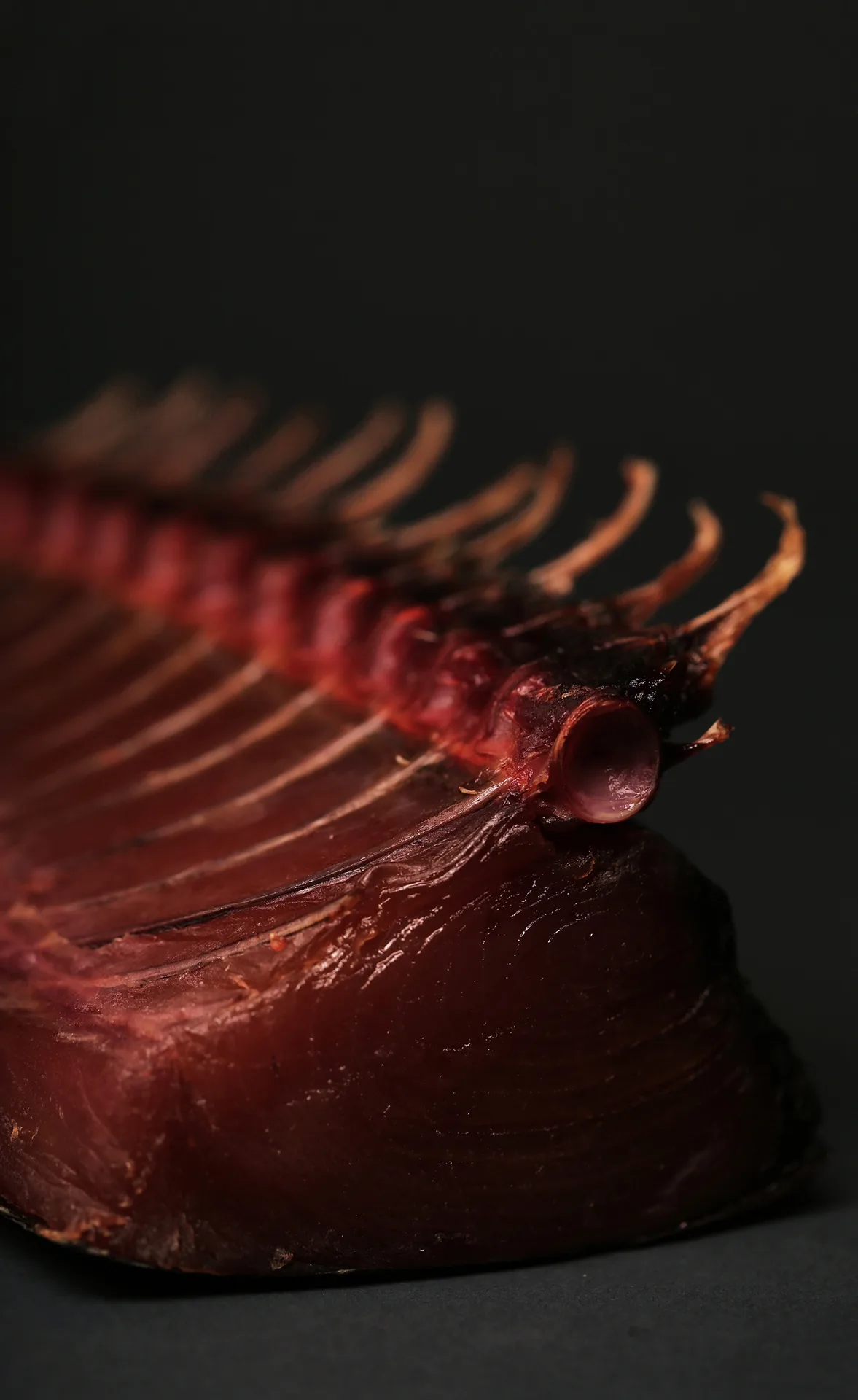 Tuna by Martin Gimenez Castro — photo 40