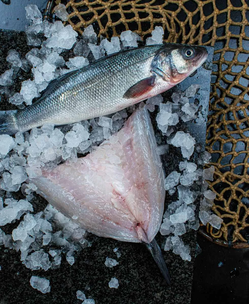 Atlantik Fisch — photo 69