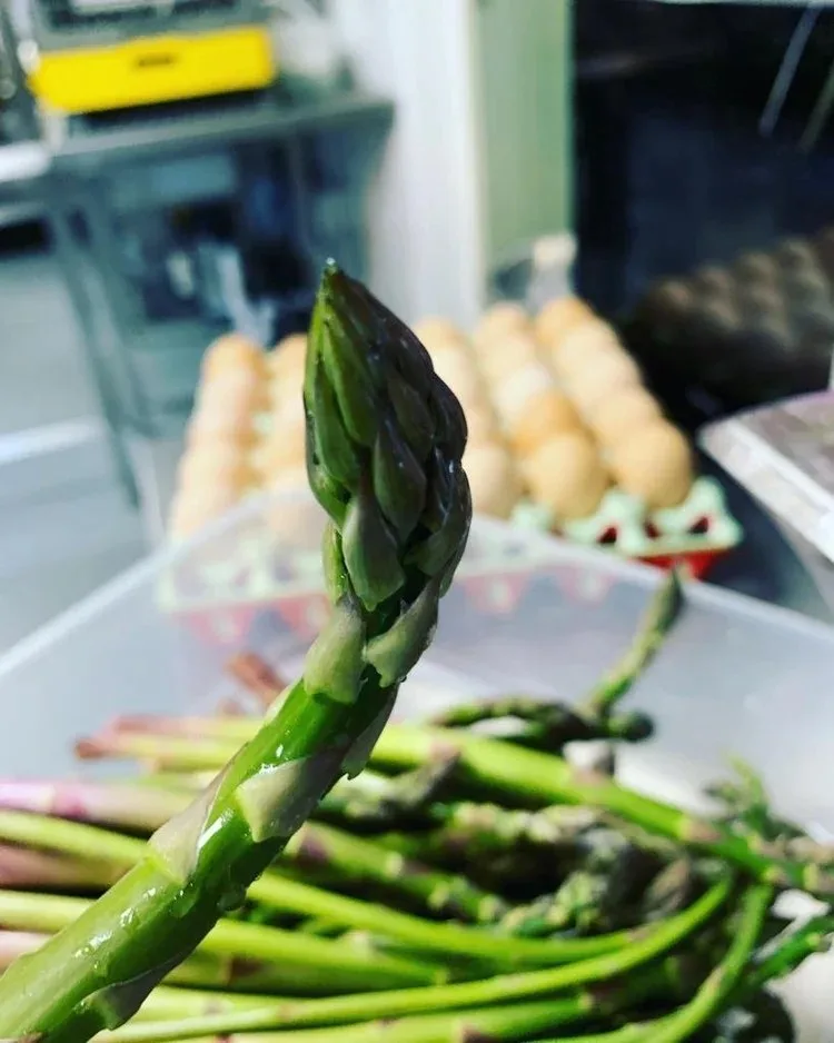 The Lime Tree Inn — food