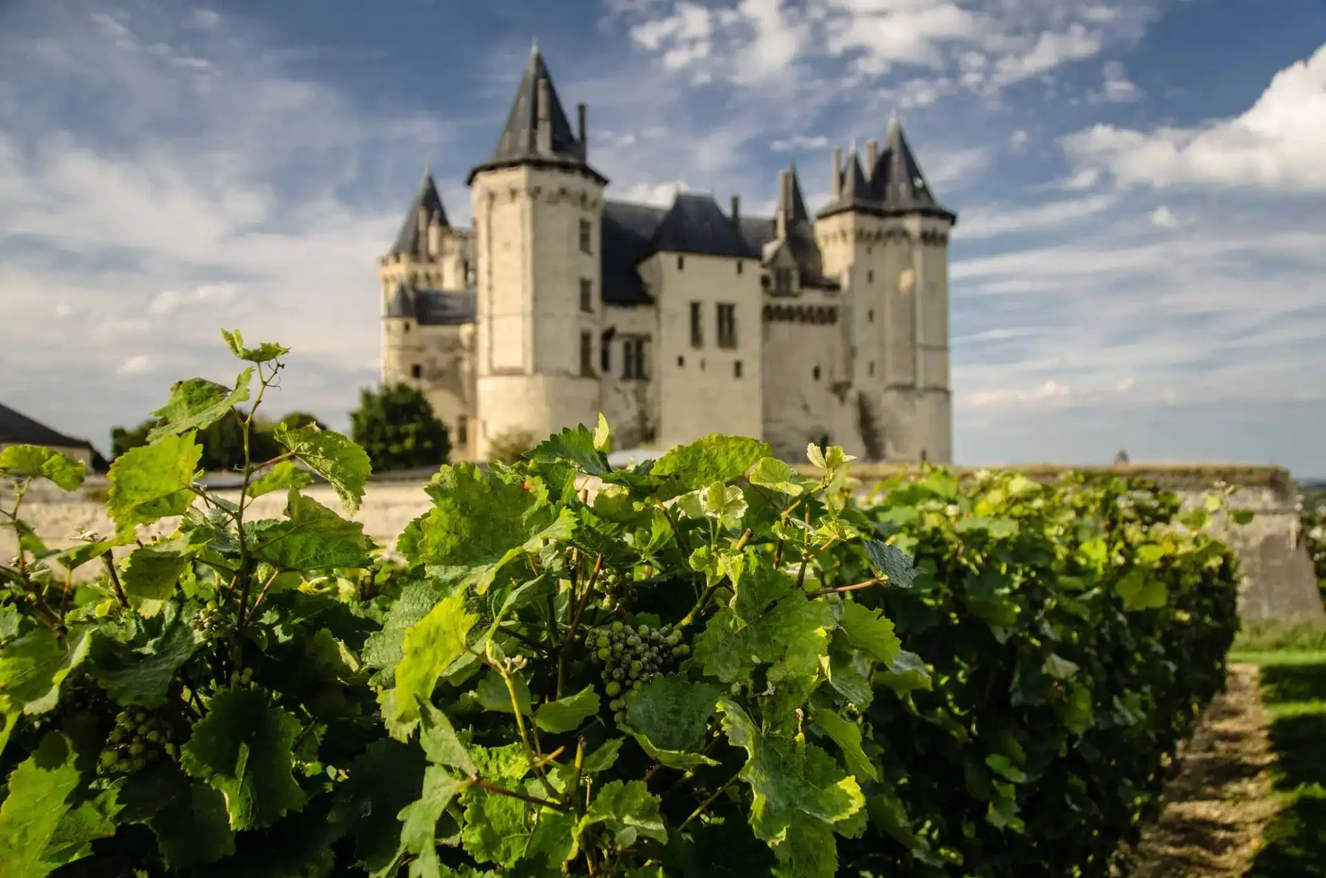 Château de Pray — photo 7