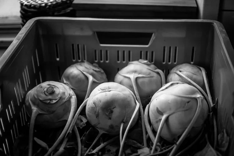 Hof aan Zee — food